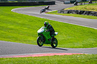 cadwell-no-limits-trackday;cadwell-park;cadwell-park-photographs;cadwell-trackday-photographs;enduro-digital-images;event-digital-images;eventdigitalimages;no-limits-trackdays;peter-wileman-photography;racing-digital-images;trackday-digital-images;trackday-photos